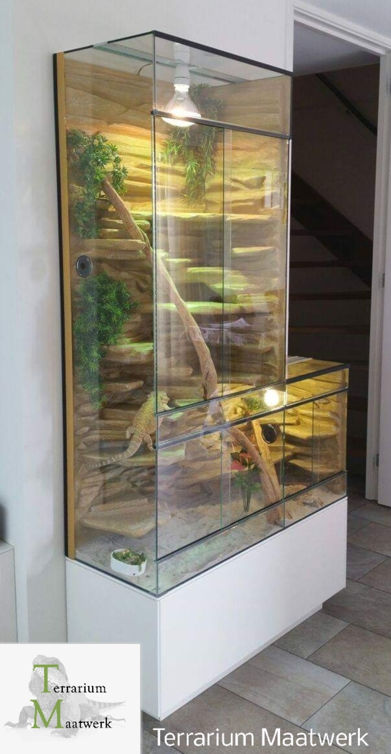 Samengesteld Bewusteloos geboorte Home - Terrarium Maatwerk